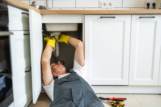 Best Plumbing Inspection Services  in Grand Marais, MN